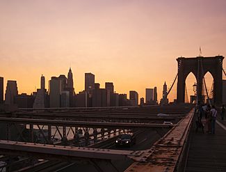 Brooklin Bridge-Nueva York7083