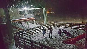 Chefornak snowball fight