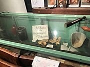 Crozer School Artifact Cabinet