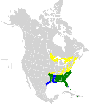 Dendroica pinus map.svg