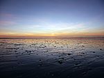 Eighty Mile Beach, Western Australia.jpg