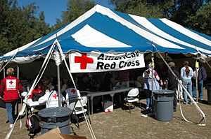 FEMA - 28112 - Photograph by Mark Wolfe taken on 02-06-2007 in Florida