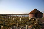 Fiskerton Fen Nature Reserve - geograph.org.uk - 319386.jpg