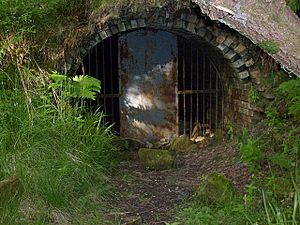 Glencryan Mine - geograph.org.uk - 1449563