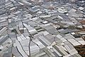 Greenhouses near El Ejido