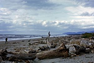 Haast Beach