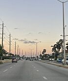 Highway in George Town.jpg