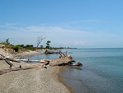 Illinois Beach State Park Lakefront