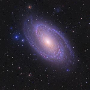 M81