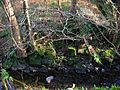 Millburn old bridge abutment