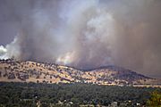 Oura fire viewed from Willans Hill