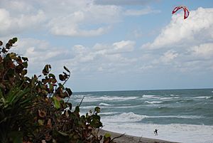 Palm beach - panoramio.jpg