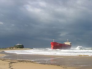 Pasha Bulker grounded