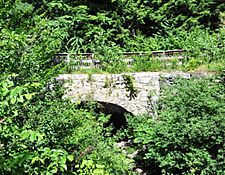 PutneyVT SackettsBrookStoneArchBridge