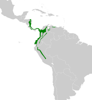 Ramphastos ambiguus map.svg