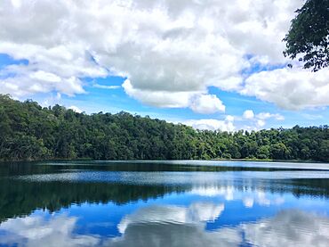 Reflections in the Atherton Tablelands.jpg