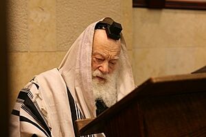 Refoel Shmuel Berenbaum.JPG