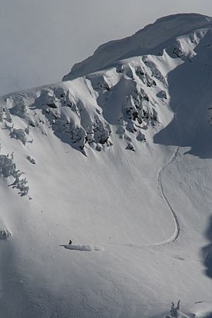 Revelstoke Mountain off piste