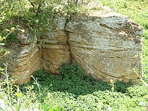 Richmond Farm Pit, Gedgrave 5.jpg