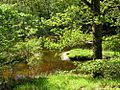 Ruisseau du Langladure au Moulin