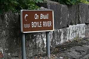 SihnRiverBoyle