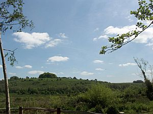 St. Catherine's Hill, Winchester, Hampshire