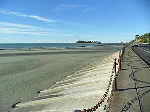 Tahunanui Beach