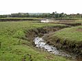 Tidal creek and the Annan estuary - geograph.org.uk - 572334