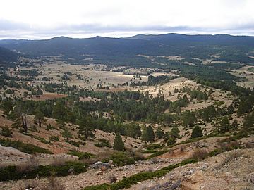 Vega del Tajo.JPG