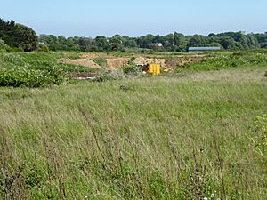 Aldeburgh Brick Pit 7.jpg