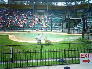 Australia zoo-Raffi Kojian-CIMG6415