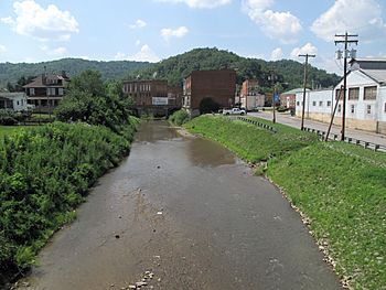 Buffalo Creek Mannington.jpg