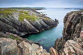 Cape Bonavista (8003206558)