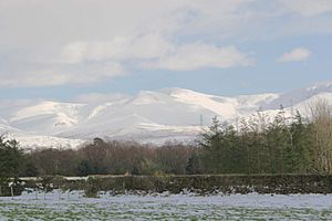 Carneddau