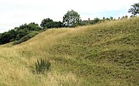 Culverhay Castle.jpg