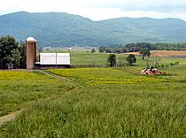 Farm-near-Speedwell-tn1