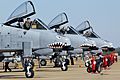 Flying-Tiger-23fg-a10s-1