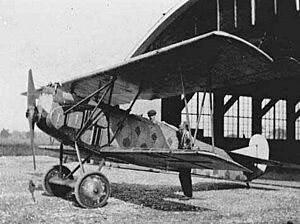 Fokker D VII 2
