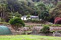 GREEN MOUNTAIN SETTLEMENT - ASCENSION ISLAND