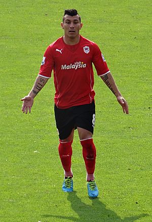 Gary Medel Cardiff City