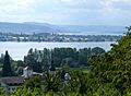 Hegne und Reichenau