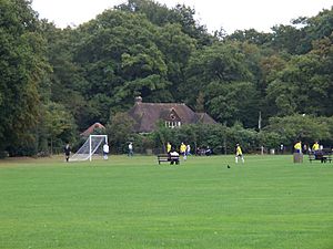 Highgate Wood football