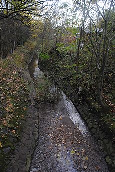 Holbrook at Beeches Road, Birmingham - 2017-11-10 - Andy Mabbett - 02