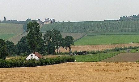 Jekerdal met Wijngaarden