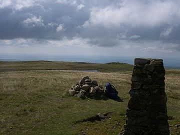 Lank Rigg summit.jpg