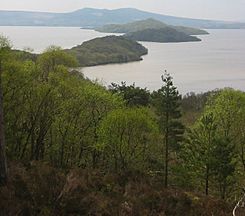 Lomond islands