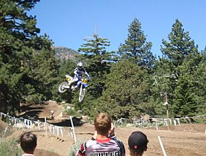 McGrath MammothMX 02