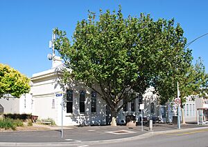 Mornington Mechanics Institute