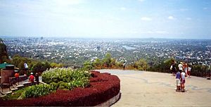 Mt Coot-tha Lookout.jpg