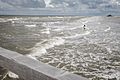 Nationalpark - Schleswig-Holsteinisches Wattenmeer